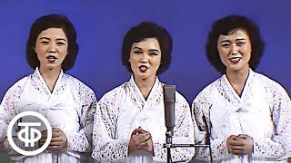 Корейский женский вокальный ансамбль поёт на русском песню "Катюша" (1984)
