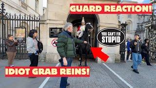 Stubborn Man Attempts to Grab Horse at King's Guard – Watch the Shocking Public & Guard