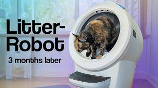 Litter-Robot 4 Review - 4 Cats Used It For 3 MONTHS! EVERYTHING You Need To Know! | Raymond Strazdas