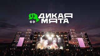 Дикая Мята-2024: Aftermovie