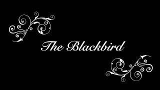 The Blackbird Set Dance - Edwina Guckian