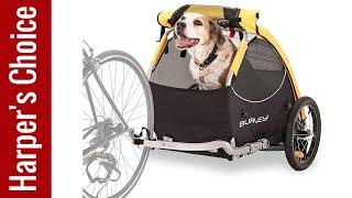 Best Bike Trailers for Dogs 2025 - Top 5