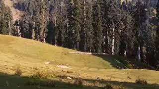 Skyland Wari Dir Upper Kpk. A Hidden Paradise