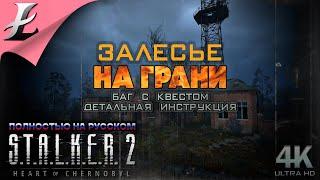 S.T.A.L.K.E.R. 2: Heart of Chornobyl - Залесье На грани баг с квестом - подробная видеоинструкция!