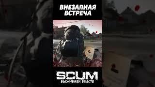 ВНЕЗАПНАЯ ВСТРЕЧА #pvp #scum #скам #выживание #scumpvp #shorts