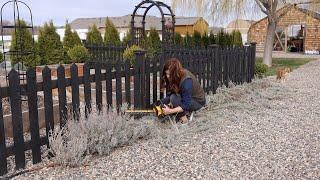 Cutting Back Lavender! // Garden Answer