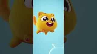 Can your cat do this?  #ninimo