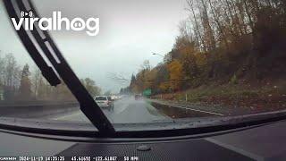 Huge Branch Crashes Onto Highway During Bomb Cyclone || ViralHog