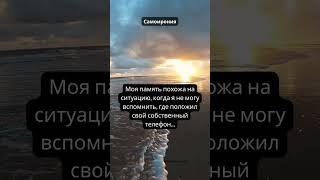 Самоирония #14  | #факты #цитаты #shorts