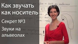 Английское произношение - 6 секретов. Звуки на альвеолах