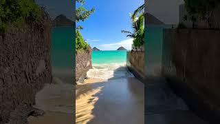 Hawaiii ️#hawaii #travel #fyp #fyp #ytshorts #youtubeshorts #ocean n