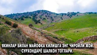 ЯКИНЛАР БИЛАН МАЙОФКА КИЛИШГА ЭНГ ЧИРОЙЛИ ЖОЙ. СУРХОНДАРЁ ШАЛКОН ТОГЛАРИ.
