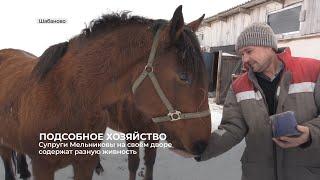 Подсобное хозяйство