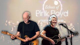 David Gilmour Says He Has 'No Regrets' About Roger Waters Feud