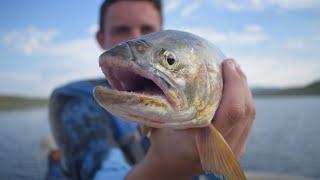 Fishing at Strawberry Reservoir Utah for TROUT!! I caught my PB!! ( Utah Ep.3 )