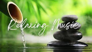 No Ads Relaxing Music For Sleeping | Deep sleep music, Relaxing music, Stress relief, Meditation...