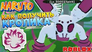 Шиндо Лайф как получить КРОЛИКА  Shindo Life Rab Tailed Spirit Наруто Роблокс