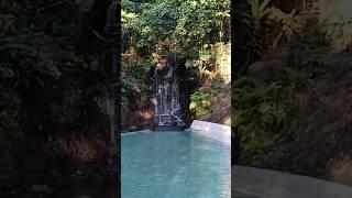 Waterfall Feeds Pool  #philippines #adventures #shorts