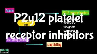 P2y12 Platelet Receptor Inhibitors | GPIIb/III Receptor Inhibitors |