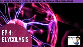 Chapter 5 EP 4 / Sem 2 : Glycolysis (Matriculation Biology)