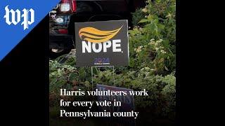 Harris volunteers work for every vote in Pennsylvania county