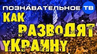 Как разводят Украину (Познавательное ТВ, Николай Стариков)