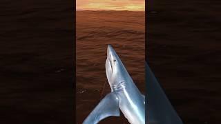 monster fishing  945 #fishing #fish #shortvideo #shorts