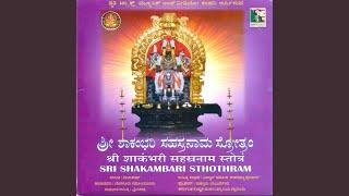 Narayani Stuthi