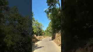 @MACVELER #viral #GLT #art #nature #song #music #alikodom #traveller #hiking #mountains #Lama