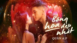 QUÂN A.P | BÔNG HOA ĐẸP NHẤT | OFFICIAL MUSIC VIDEO