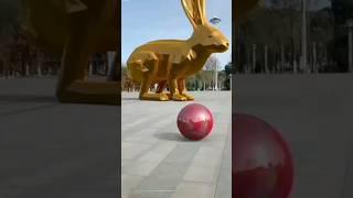 заес волк