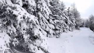 Vivaldi - Four Seasons - Winter