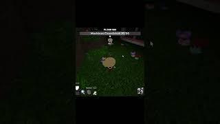 Shelly distracting gone wrong | Dandy's World #roblox #dandysworld #dandysworldroblox