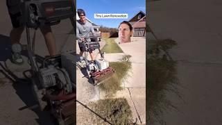 Tiny Lawn Reno - EXPLAINED