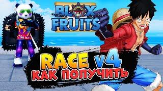 БЛОКС ФРУТС КАК ПОЛУЧИТЬ РАСУ v4  Blox Fruits RACE v4 - Роблокс Ван Пис