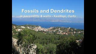 FOSSILS AND DENDRITES in pavements & walls – Kassiopi, Corfu