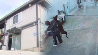 ABUSIVE PET DAYCARE FOOTAGES EXPOSED