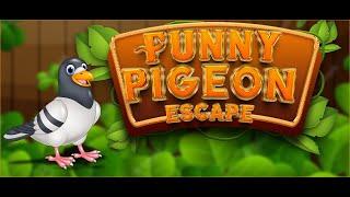 G4K Funny Pigeon Escape Game Walkthrough