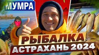 Астрахань 2024, лучшая рыбалка или нет?