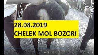 MOL BOZOR NARXLARI. CHELEK MOL BOZORI 28.08.2019 (самарканд мол бозор 2019)