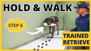 Formal Retrieving Work - Trained Retrieve - Step 6 - Hold & Walk