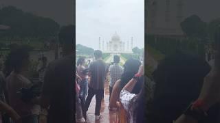 Romantic Taj Mahal #shortfeed #shorts