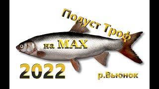 РР4 р.Вьюнок Подуст Троф на МАХ (2022)