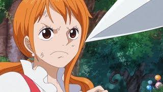 Nami protects Luffy | Luffy saves Nami