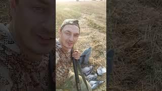 РЫБАКИ И ОХОТНИКИ САМЫЕ СЧАСТЛИВЫЕ ЛЮДИ . #hunting #рыбалка