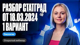 Разбор СтатГрад от 18.03.2024 1 вариант | ЕГЭ по биологии | Ксения Напольская