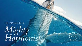 The Ocean is a Mighty Harmonist
