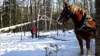 Horse Drawn Sled