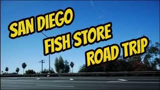San Diego Fish Store Road Trip - Coast Gem USA