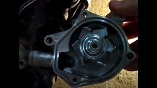 Замена водяной помпы на Honda Steed. Ставим помпу, собираем и запускаем мотоцикл.